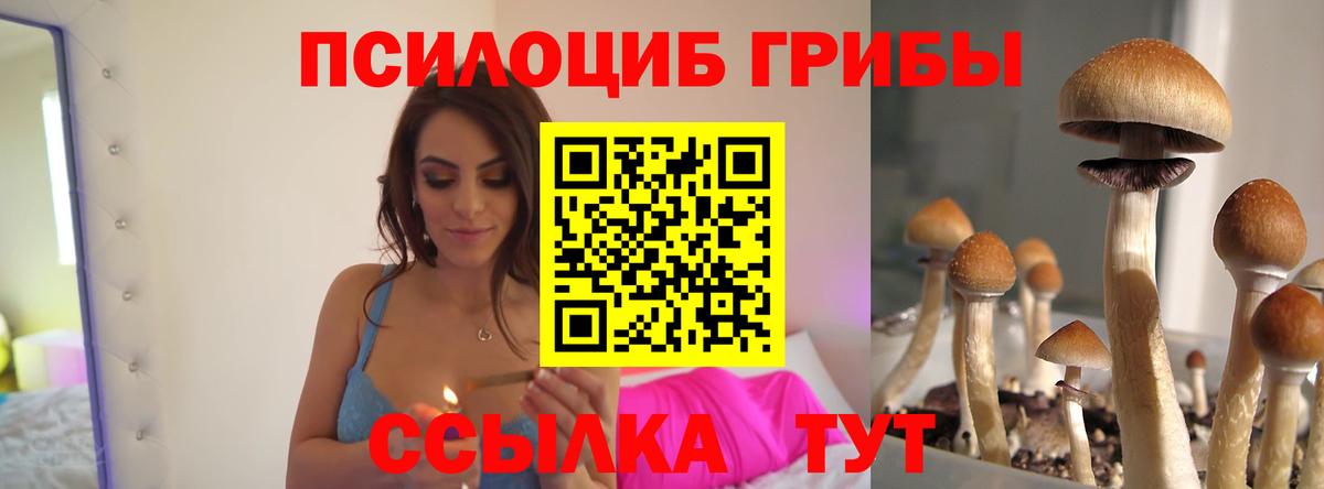 Галлюциногенные грибы мухоморы  Галлюциногенные грибы Psilocybe  Серпухов  Вход с VPN 